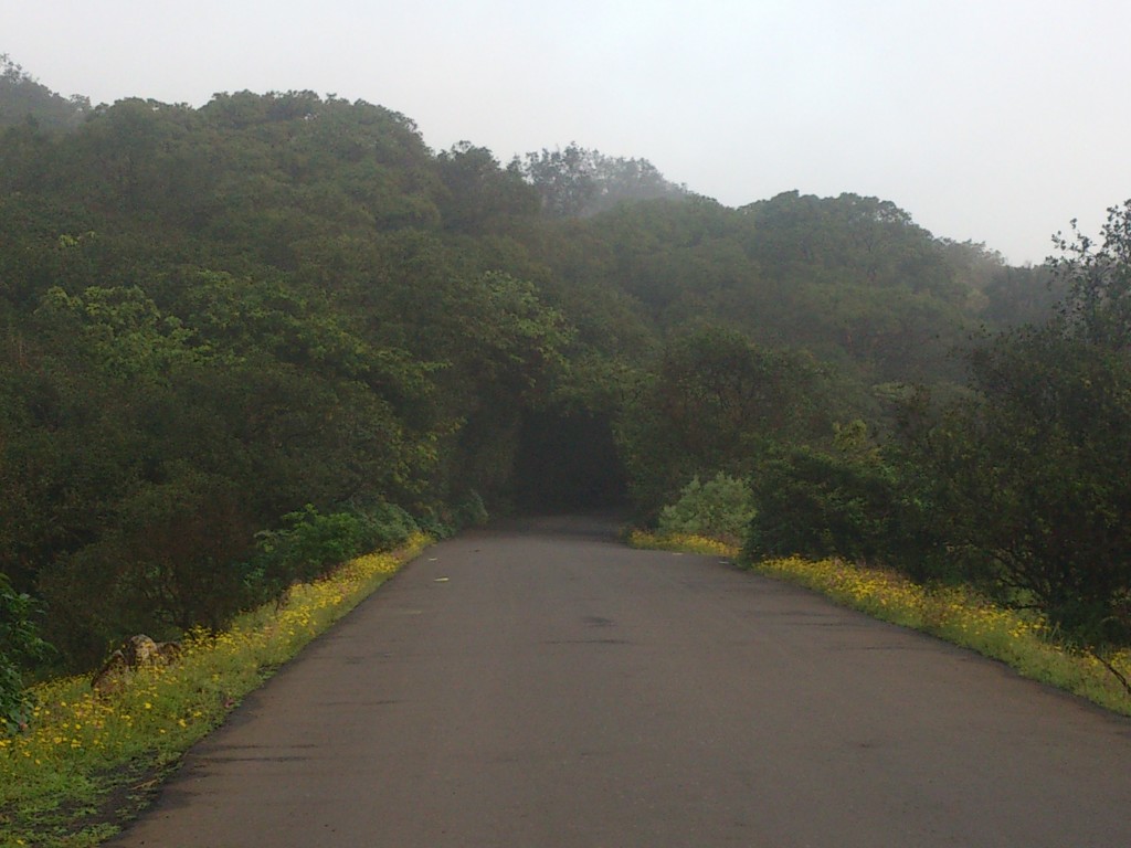 Bhimashankar Road view